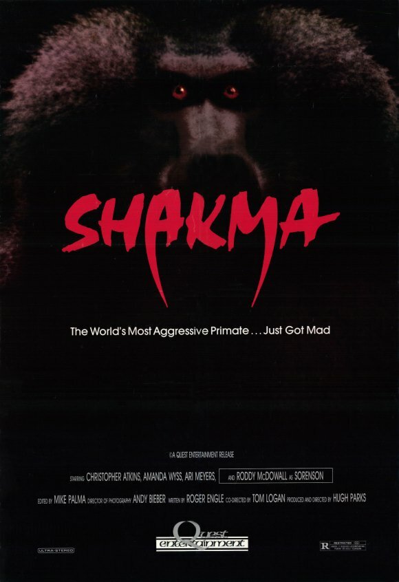 Шакма (1990) постер