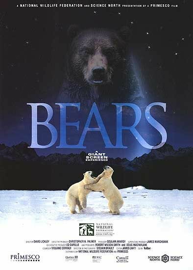 Медведи (2004) постер