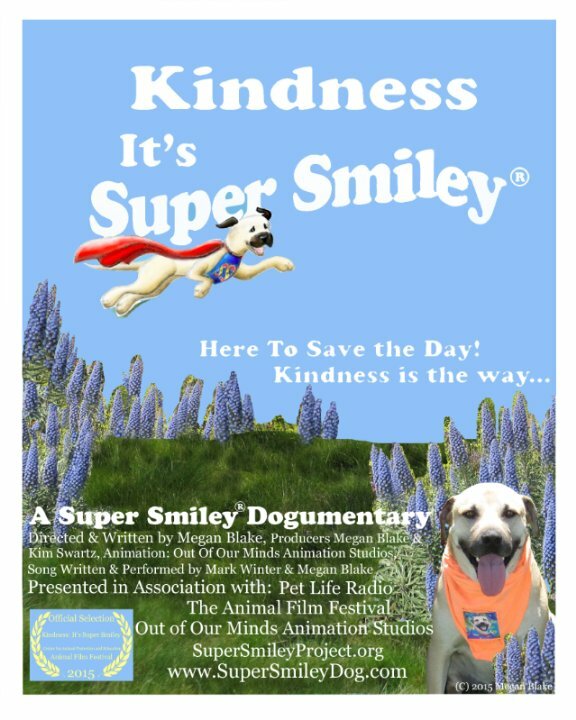 Kindness: It's Super Smiley (2015) постер