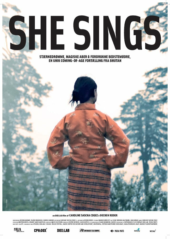 Она поёт (2011) постер