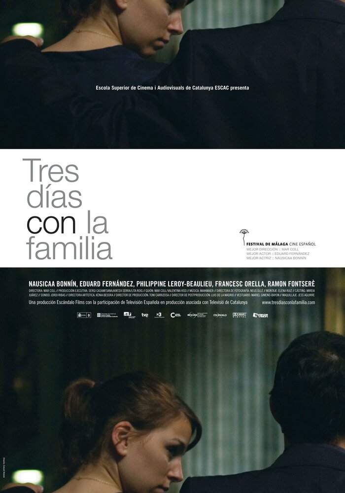 Три дня с семьей (2009) постер