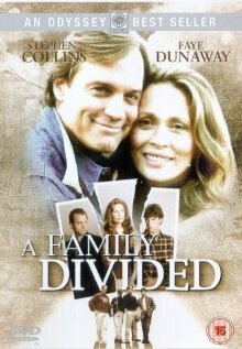 Разделённая семья (1995) постер