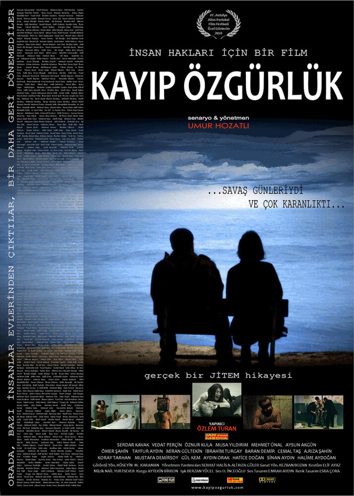 Потеря свободы (2011) постер
