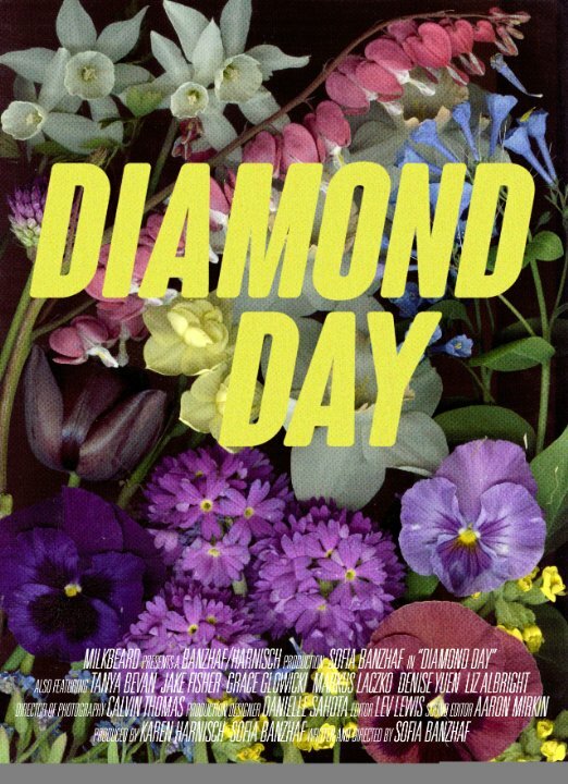 Diamond Day (2015) постер