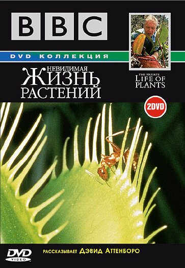 BBC: Невидимая жизнь растений (1995) постер
