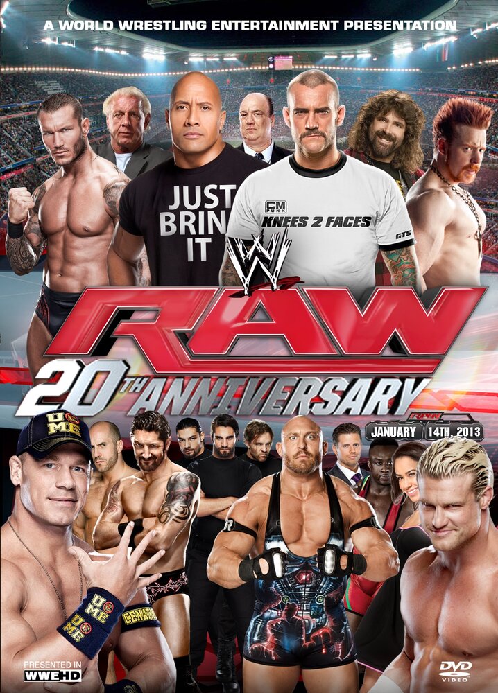 WWE: Raw 20th Anniversary Collection (2013) постер
