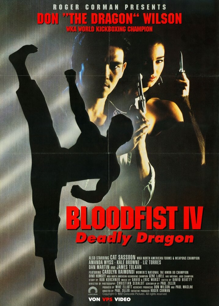 Кровавый кулак 4: Смертельная попытка (1992) постер