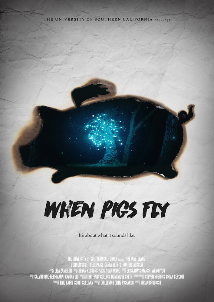 When Pigs Fly (2017) постер