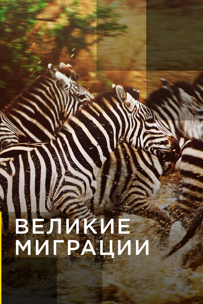 Великие миграции (2010) постер