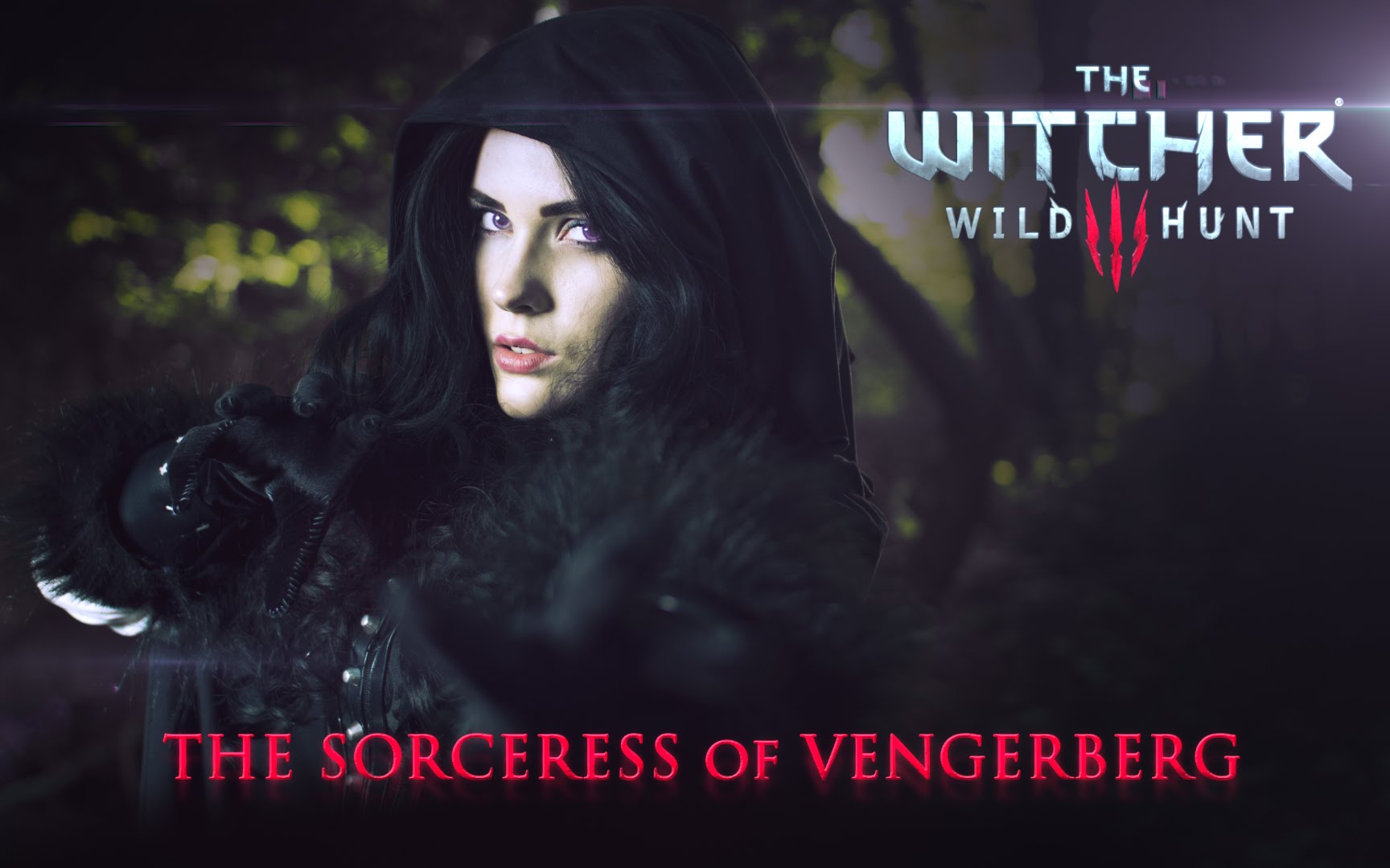 The Witcher 3: The Sorceress of Vengerberg (2014) постер