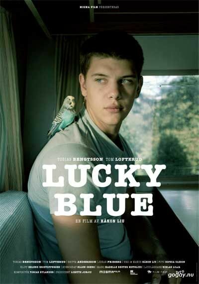 Голубой везунчик (2007) постер