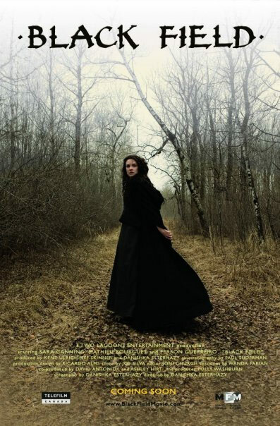 Черное поле (2009) постер