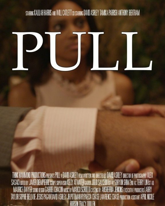 Pull (2014) постер