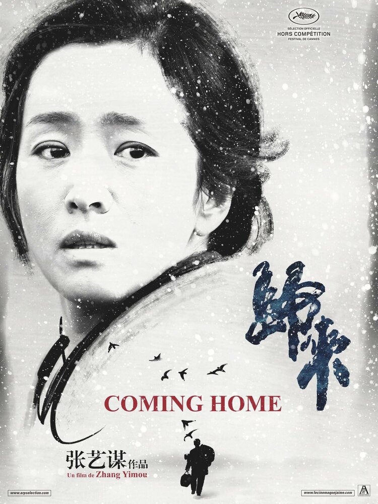 Возвращение домой (2014) постер