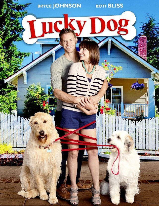 Lucky Dog (2014) постер